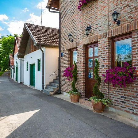 Podrumi Kolar "Suza Baranje" Kneževi Vinogradi Exteriér fotografie