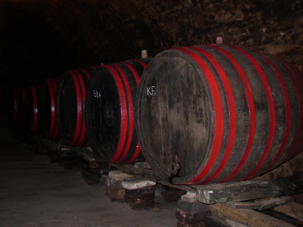 Podrumi Kolar "Suza Baranje" Kneževi Vinogradi Exteriér fotografie